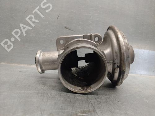 Egr BMW 3 (E46) 320 d | BP12156248M69