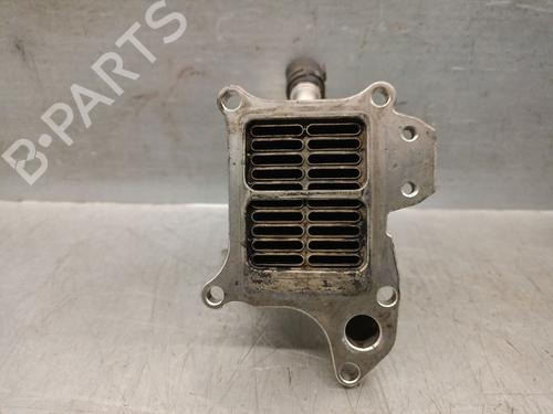 Egr RENAULT GRAND SCÉNIC III (JZ0/1_) 1.9 dCi (JZ0J, JZ0N, JZ1K, JZ1S) | BP29244957M69 