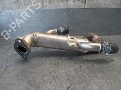Egr SEAT IBIZA III (6L1)  | BP20256521M69 