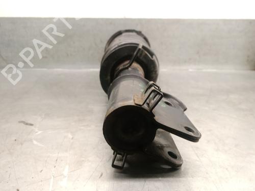 Left front shock absorber RENAULT TRAFIC II Van (FL) 2.5 dCi 145 (FL0J) | BP28536886M16 