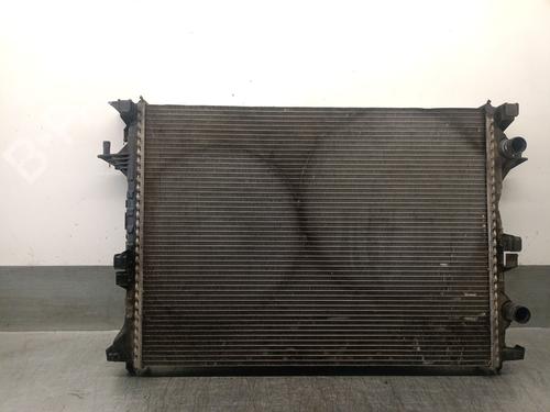 Køler RENAULT ESPACE IV (JK0/1_) 2.0 dCi (JK03, JK04, JK1C, JK1G, JK1J, JK1K) (173 hp) 29764783