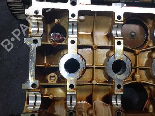 Cylinder head RENAULT MODUS / GRAND MODUS (F/JP0_)  | BP31315500M5 