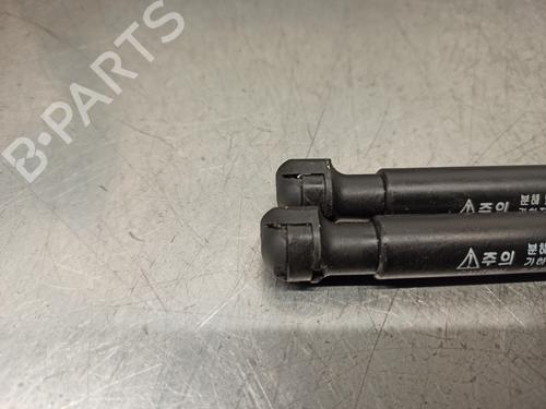 Hood lift support CHEVROLET CAPTIVA (C100, C140) 2.0 D | BP14330176C139