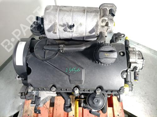 Engine VW CADDY III Box Body/MPV (2KA, 2KH, 2CA, 2CH) 2.0 SDI | BP36239021M1  - Image 6