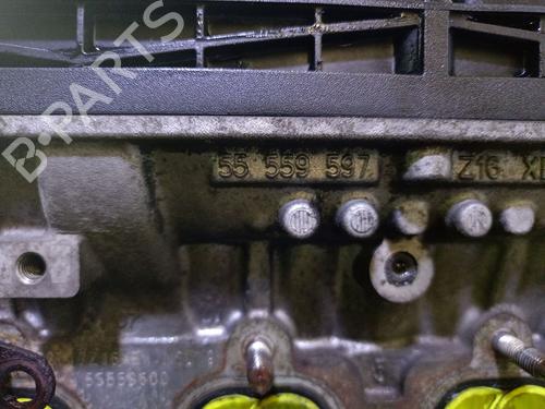 Engine OPEL ZAFIRA / ZAFIRA FAMILY B (A05) 1.6 (M75) | BP28127923M1 