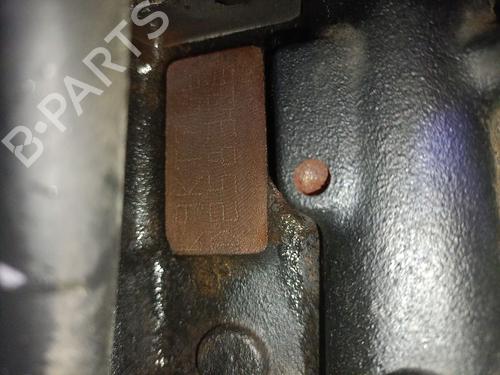 Engine RENAULT CLIO III (BR0/1, CR0/1) 1.5 dCi (BR17, CR17) | BP30571079M1 