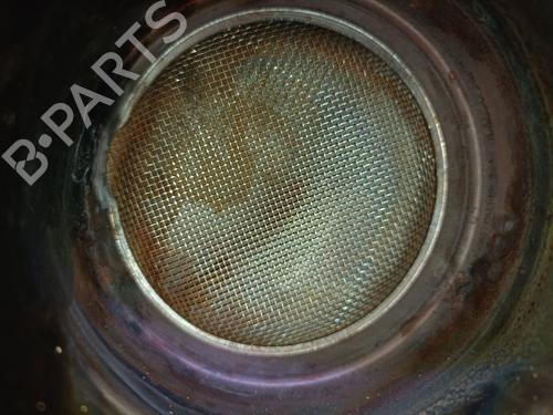 Particulate filter VW TIGUAN (5N_) 2.0 TDI | BP29481351M81 