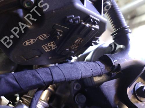 Engine KIA OPTIMA (FSGDS6B) 1.7 CRDi | BP30515222M1 - Image 11