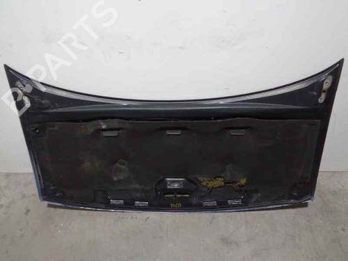 Hood VW SHARAN (7M8, 7M9, 7M6) 1.9 TDI | BP6714111C1 