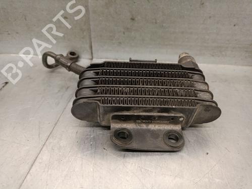 Oil radiator DAELIM DAYSTAR Daystar 125 (VL125F) | BP36645663M33 - Image 4