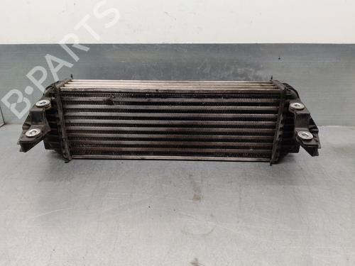 Intercooler FORD TOURNEO CONNECT 1.8 TDCi | BP16489248M30 