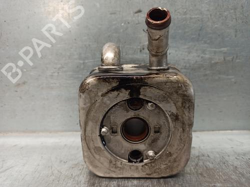Oliekøler AUDI A6 C5 (4B2) [1997-2005]  17209604