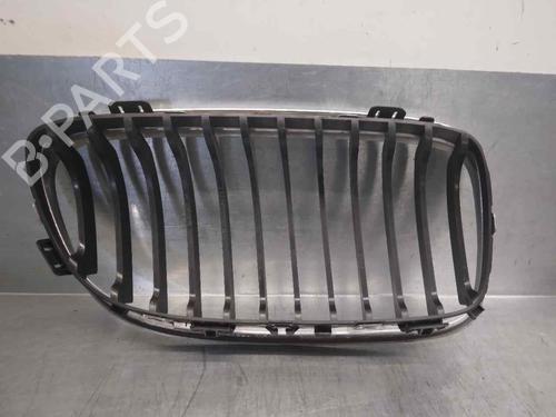 Grille BMW 3 (E90) 320 d | BP11117626C40 