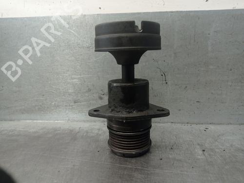 Remskive FORD TRANSIT CONNECT (P65_, P70_, P80_) 1.8 TDCi | BP29135591M122 