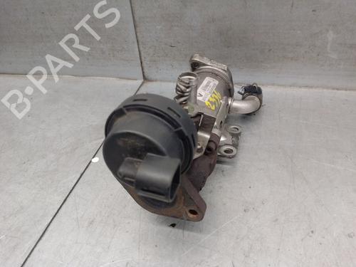 Egr RENAULT SCÉNIC II (JM0/1_) 2.0 dCi (JM1K) | BP27890205M69 