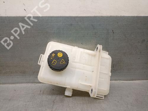 Used Power steering reservoir MERCEDES-BENZ CITAN Box Body/MPV (W420) 1.5 110 CDI (420.623, 420.625) (95 hp) 26378755