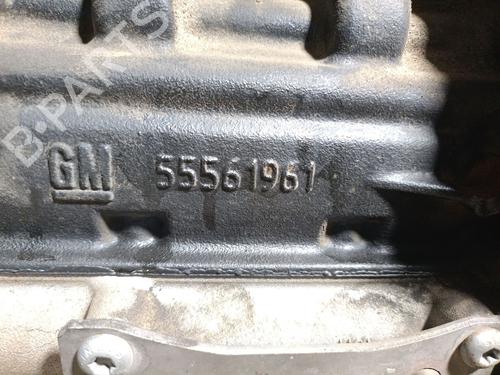 Engine OPEL CORSA D (S07)  | BP36995731M1  - Image 11