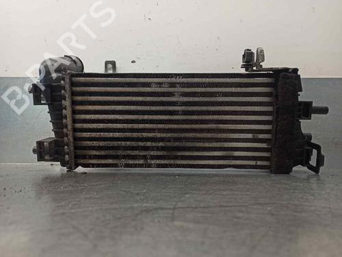 Intercooler FORD FOCUS III  | BP11508589M30 