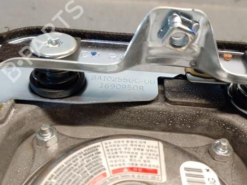 Driver airbag HYUNDAI SANTA FÉ II (CM) 2.2 CRDi GLS | BP29308942C9 