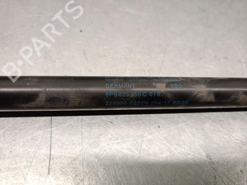 Hood lift support AUDI A3 (8P1) 2.0 TDI 16V | BP26220995C139 