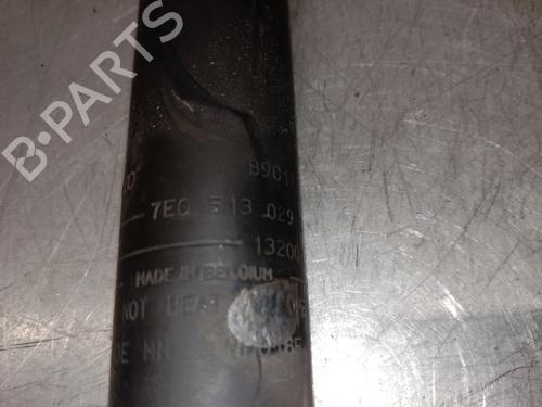 Right rear shock absorber VW TRANSPORTER T5 Van (7HA, 7HH, 7EA, 7EH) 2.5 TDI | BP13877956M19 