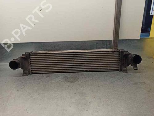 Used Intercooler VOLVO S80 II (124) D5 AWD (185 hp) 6534018