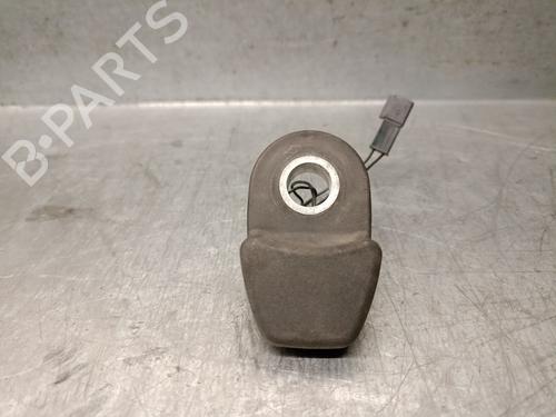 Used Tailgate handle BMW 3 Touring (E46) 320 d (150 hp) 31161565