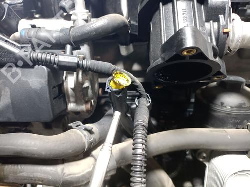 Engine SEAT LEON (1P1) 1.6 TDI | BP31929231M1