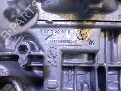 Engine RENAULT CAPTUR II (HF_) TCe 90 (HFM6) | BP30083748M1