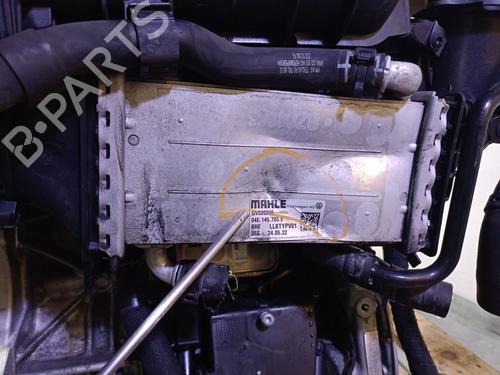 Motor CUPRA FORMENTOR (KM7, KMP) 1.5 TSI | BP29979391M1 