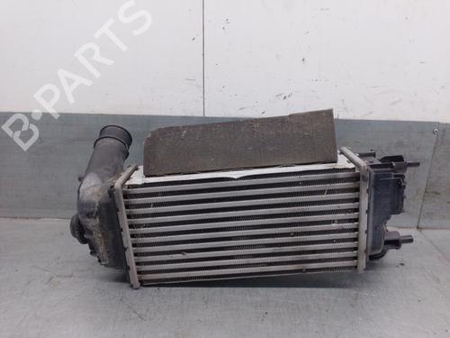 Intercooler FORD FIESTA VII (HJ, HF) 1.0 EcoBoost mHEV | BP28129075M30 