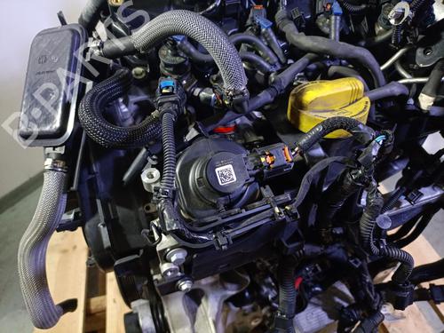 Motor RENAULT EXPRESS Box Body/MPV 1.5 Blue dCi 75 (F6AA) | BP29460621M1 