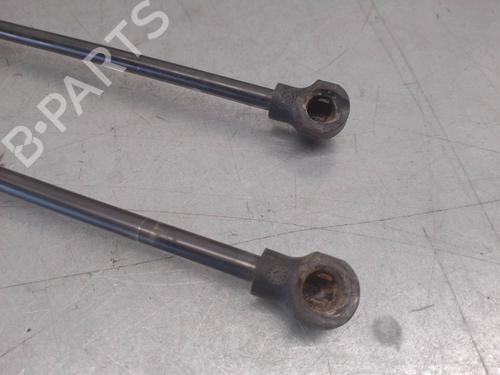 Tailgate lift support DACIA SANDERO II TCe 90 LPG (B8M1) | BP17868916C138 