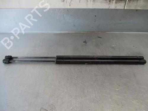 Used Tailgate lift support FORD FIESTA V (JH_, JD_) 1.6 TDCi (90 hp) 20247497