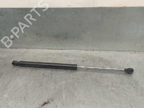 Used Tailgate lift support RENAULT TWINGO I (C06_) 1.2 (C063, C064) (55 hp) 20259057