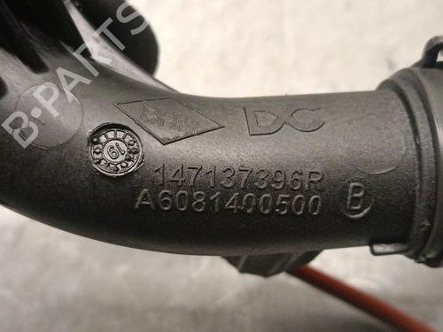 Pipe RENAULT CAPTUR II (HF_) Blue dCi 95 (HFAF) | BP31969228M125 