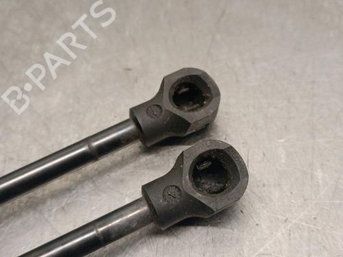 Tailgate lift support RENAULT MEGANE IV Hatchback (B9A/M/N_) 1.3 TCe 140 (B9NB) | BP21579156C138 