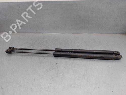 Tailgate lift support RENAULT MEGANE II Estate (KM0/1_) 2.0 dCi | BP18484776C138 
