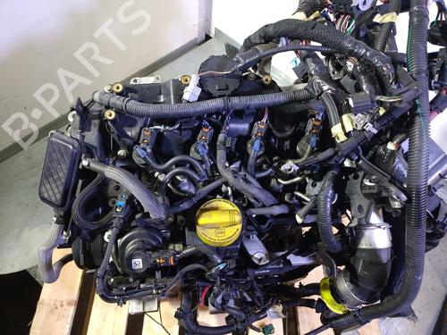 Motor RENAULT EXPRESS Box Body/MPV 1.5 Blue dCi 75 (F6AA) | BP29460621M1 