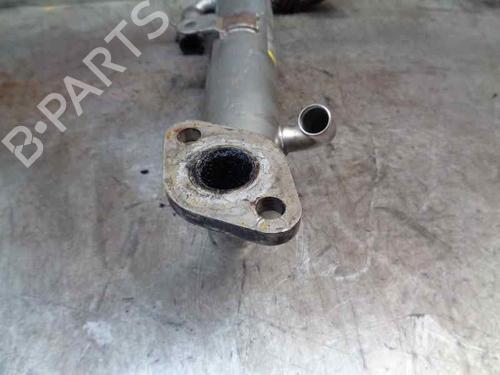 Egr OPEL ASTRA H (A04) 1.7 CDTI (L48) | BP20253933M69 
