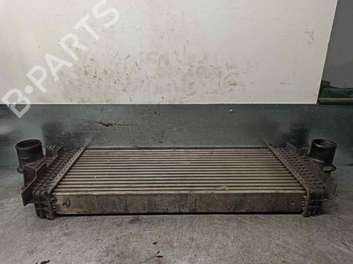 Intercooler MERCEDES-BENZ M-CLASS (W164) ML 320 CDI 4-matic (164.122) | BP8806199M30 