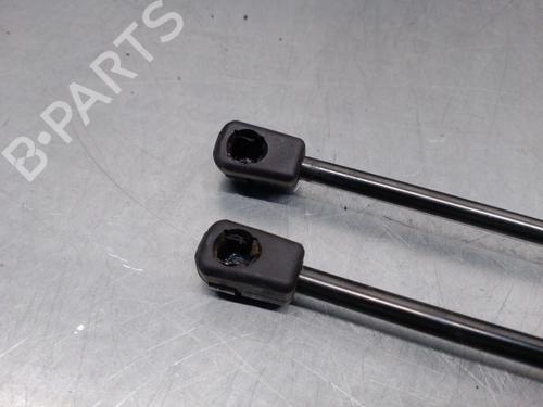 Tailgate lift support RENAULT MEGANE II (BM0/1_, CM0/1_) 1.9 dCi | BP18350638C138 