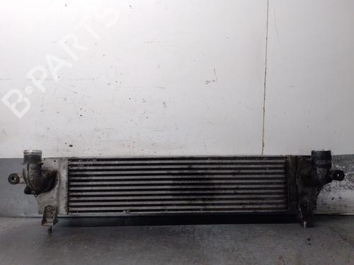 Used Intercooler Intercooler NISSAN QASHQAI I (J10, NJ10) 2.0 dCi (150 hp) 34010102 34010102