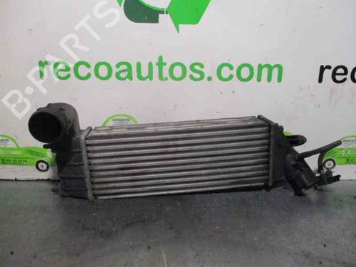 Intercooler FIAT ULYSSE (179_) 2.2 JTD | BP4026596M30 
