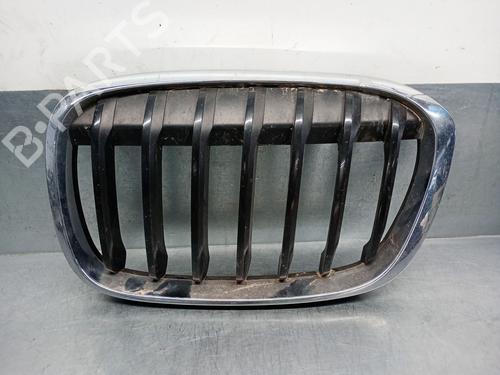 Used Grille BMW X1 (F48) sDrive 18 d (150 hp) 27873021