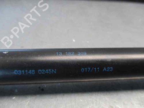 Tailgate lift support OPEL CORSA D (S07)  | BP20247555C138 