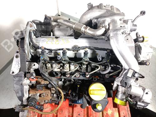 Engine RENAULT GRAND SCÉNIC II (JM0/1_) 1.9 dCi (JM14) | BP32631985M1 