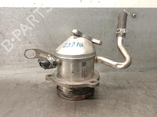 EGR-Ventil RENAULT EXPRESS Box Body/MPV 1.5 Blue dCi 75 (F6AA) | BP29463882M69 