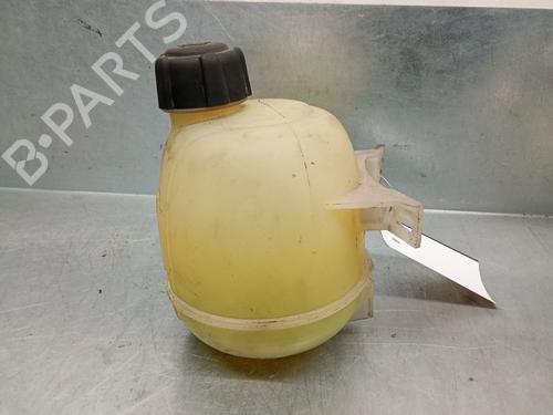 Ekspansjonstank RENAULT SCÉNIC I MPV (JA0/1_, FA0_) 1.9 dCi RX4 | BP29934619C120