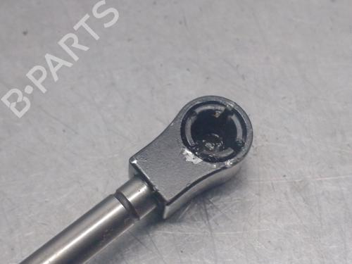 Hinge/Door check strap BMW 7 (E65, E66, E67) 730 Ld | BP22728553C146 